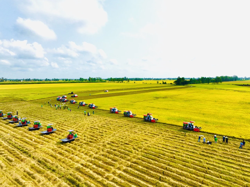 8 nhiệm vụ giải pháp của Bộ Nông nghiệp và Môi trường để đạt mục tiêu tăng trưởng 4%