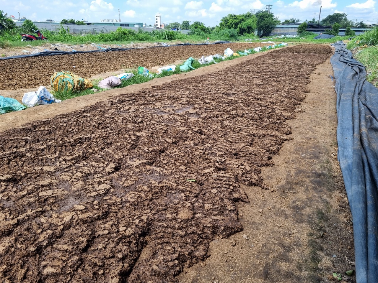 Ô nhiễm ở các khu dân cư xã chuẩn nông thôn mới xã Đông Thạnh, huyện Hóc Môn