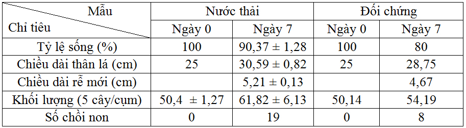 Thử nghiệm xử lý nước kênh Văn Thánh bằng mô hình kết hợp cỏ Vetiver cùng giá thể sỏi - cát trong điều kiện tĩnh