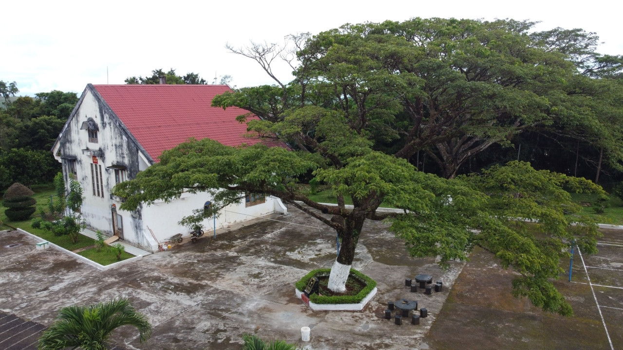 Bảo vệ những báu vật hàng trăm tuổi ở Đắk Nông