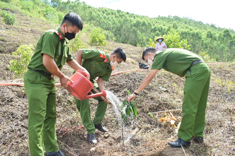 Chương trình “Chùa xanh” trồng cây ở chùa Phước Vân, Đắk Lắk