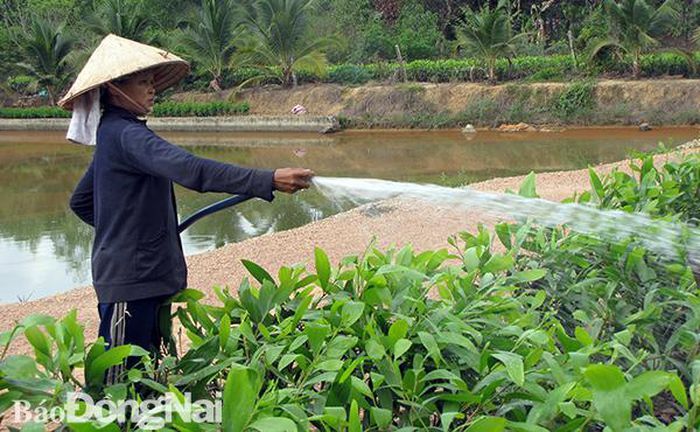 Đồng Nai: Phê duyệt quy hoạch sử dụng đất cấp huyện đến năm 2030