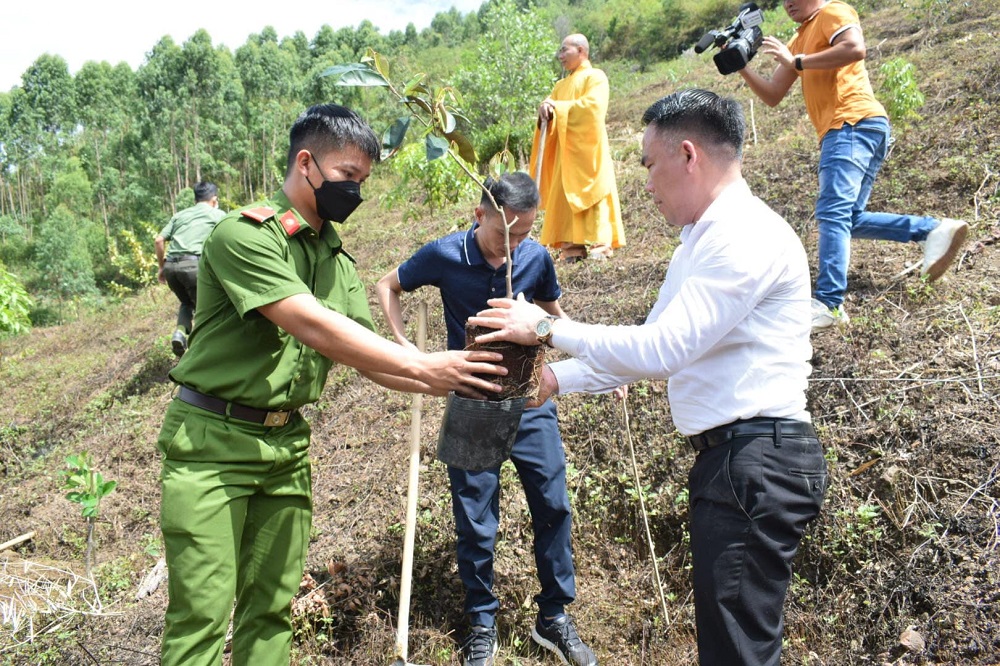 Chương trình “Chùa xanh” trồng cây ở chùa Phước Vân, Đắk Lắk