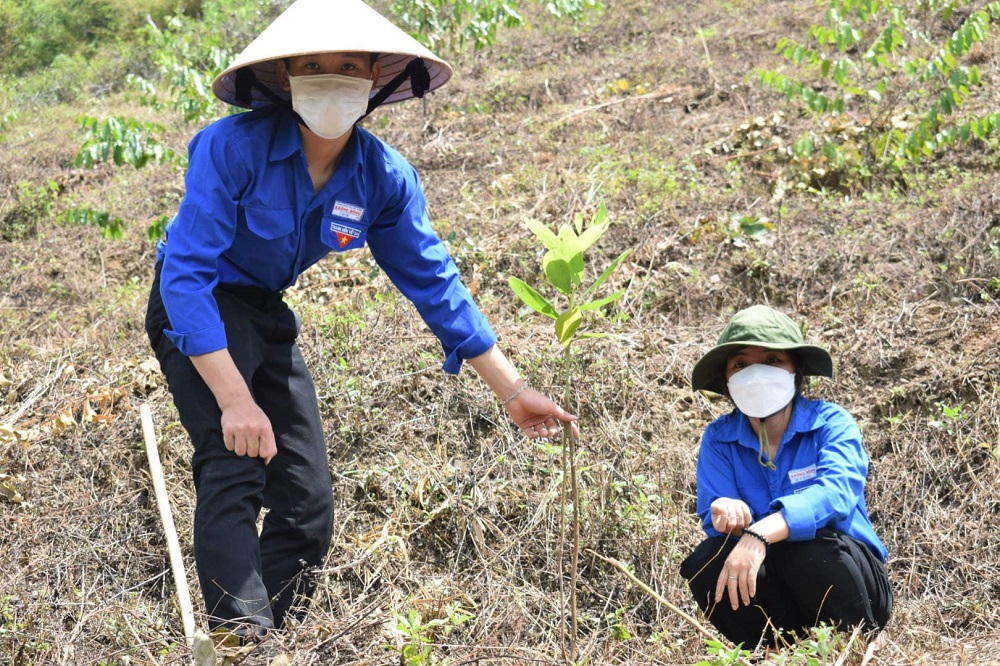Chương trình “Chùa xanh” trồng cây ở chùa Phước Vân, Đắk Lắk