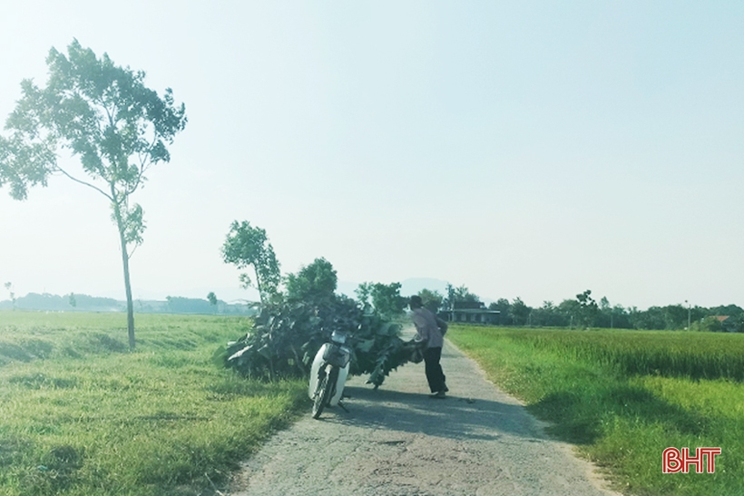 Rác bừa bãi trên nhiều tuyến đường ở xã trung tâm Lộc Hà