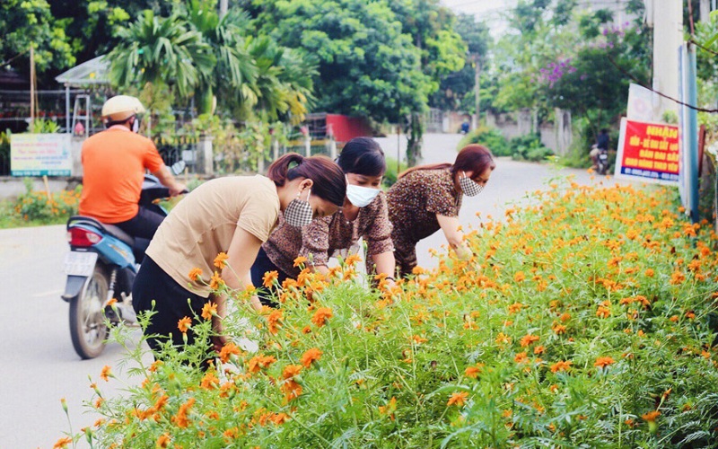 Đưa phong trào bảo vệ môi trường đến từng tổ, hội: Đôi điều ghi nhận ở Chương Mỹ và Thạch Thất
