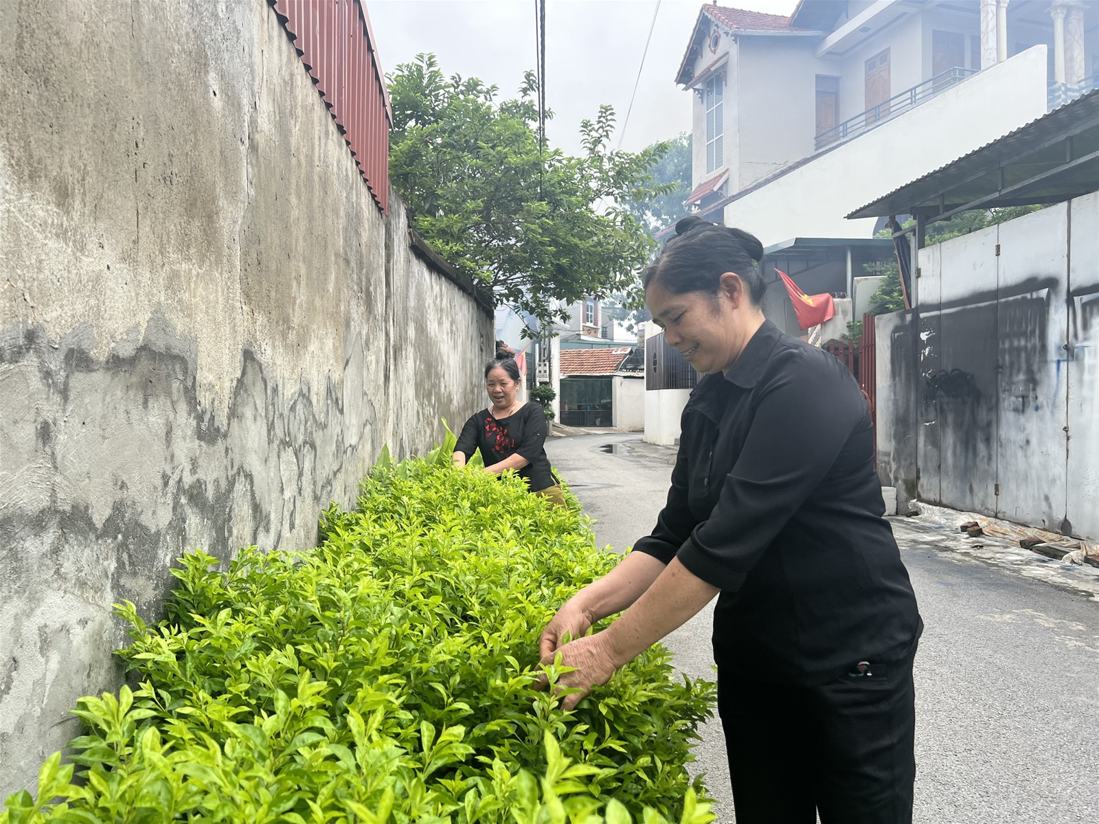 Vĩnh Phúc: Xã Thanh Trù chú trọng công tác bảo vệ môi trường