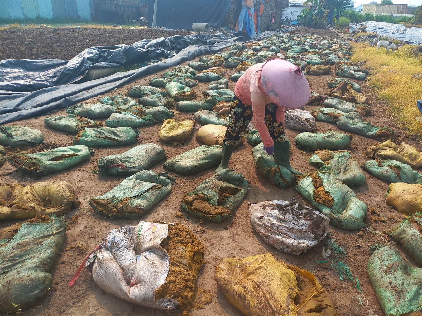 Ô nhiễm ở các khu dân cư xã chuẩn nông thôn mới xã Đông Thạnh, huyện Hóc Môn