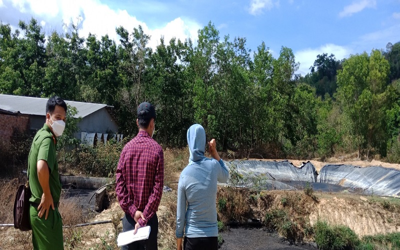 Đắk Lắk: Trang trại chăn nuôi heo ngang nhiên “xả thải”