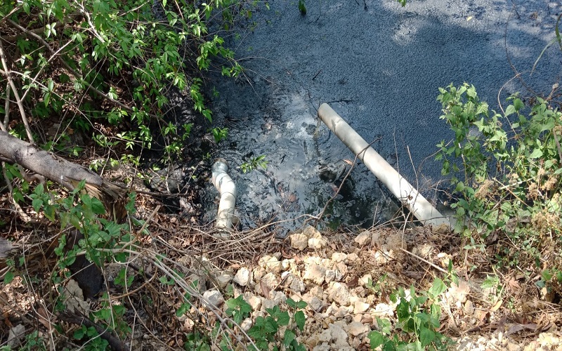 Đắk Lắk: Trang trại chăn nuôi heo ngang nhiên “xả thải”