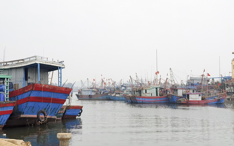 Thanh Hóa: Giữ “màu xanh” cho cảng cá