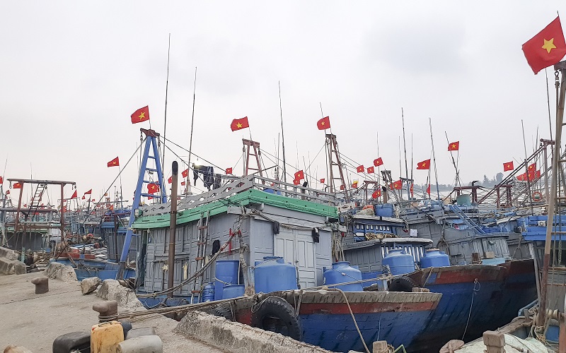 Thanh Hóa: Giữ “màu xanh” cho cảng cá