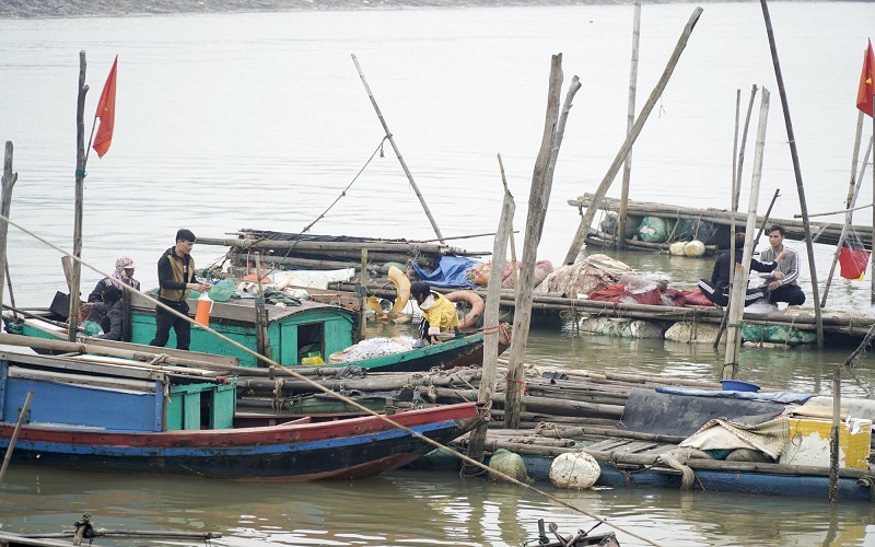 Thanh Hóa: Giữ “màu xanh” cho cảng cá