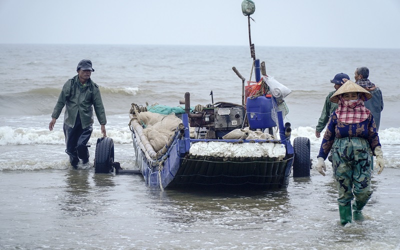 Thanh Hóa: Giữ “màu xanh” cho cảng cá