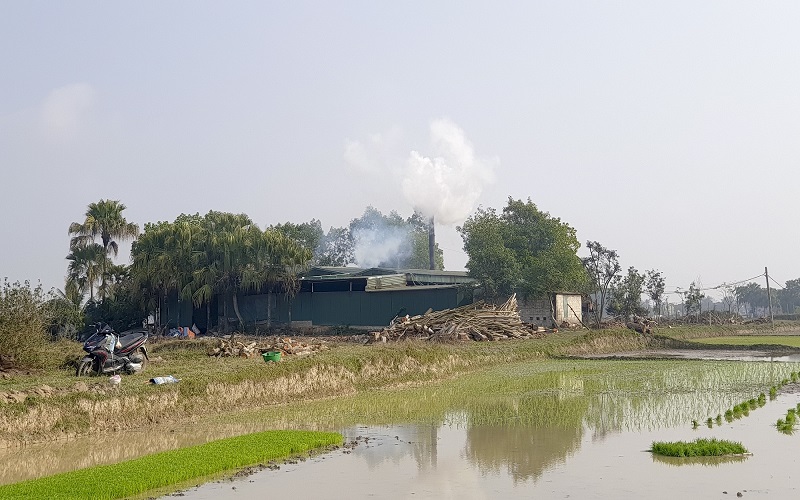 Thanh Hóa: Ô nhiễm môi trường từ xưởng than trái phép