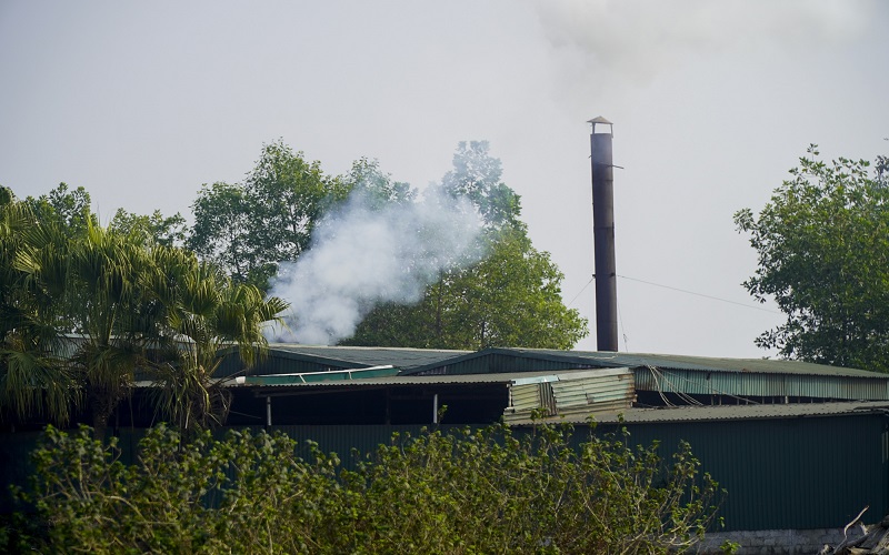 Thanh Hóa: Ô nhiễm môi trường từ xưởng than trái phép