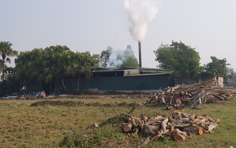 Thanh Hóa: Ô nhiễm môi trường từ xưởng than trái phép