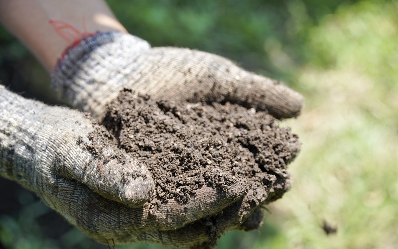 Để rác thải trở thành … tài nguyên