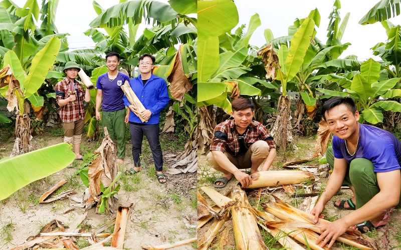 Thanh Hóa: Nhóm sinh viên với ý tưởng bảo vệ môi trường từ cây chuối