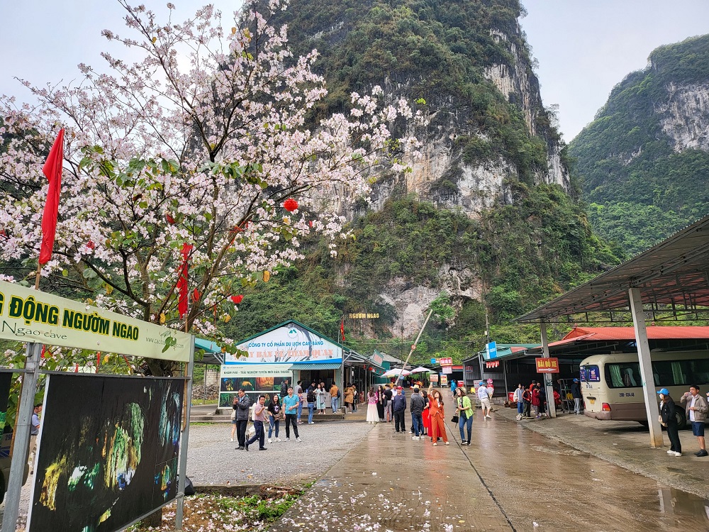 Chiêm ngưỡng vẻ đẹp thiên nhiên hùng vĩ của non nước Cao Bằng