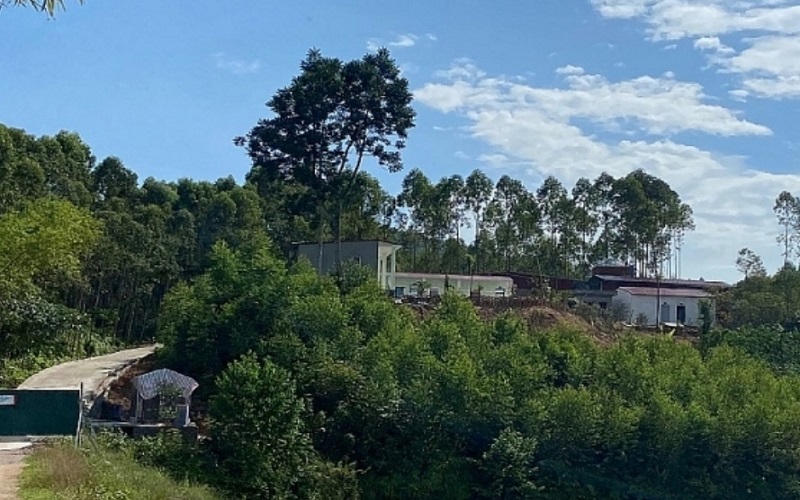 Sông Lô - Vĩnh Phúc: Trang trại chăn nuôi lợn xây dựng trái phép trên đất rừng sản xuất