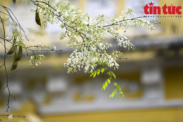 Thời tiết ngày 21/2: Bắc Bộ và Trung Bộ trời nắng, nhiệt độ tăng