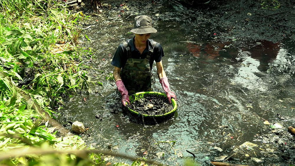 Vì một An Giang xanh