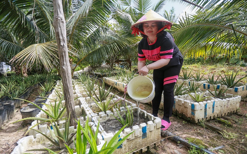 Giáo dục hành động để thúc đẩy hành vi giảm thiểu  rác thải nhựa tại Phú Quốc
