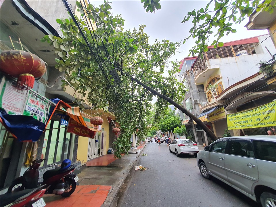Bão số 1 Chaba làm gãy đổ hàng loạt cây xanh trên các tuyến phố trung tâm Hải Phòng
