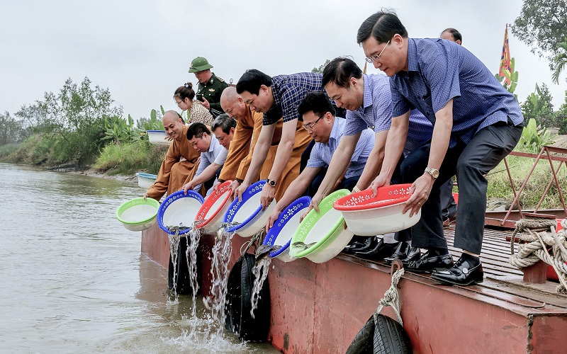 Thanh Hóa: Thả cá giống tái tạo và phát triển nguồn lợi thủy sản