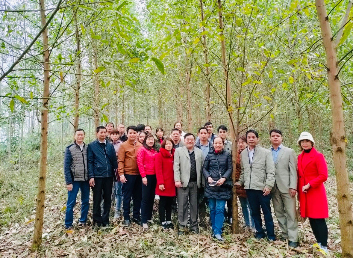 Công ty TNHH Lâm nghiệp Sơn Dương: Thực hiện tốt công tác quản lý đất đai