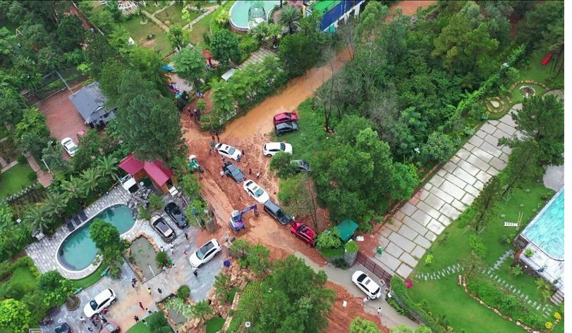 Khi rừng xanh lên tiếng