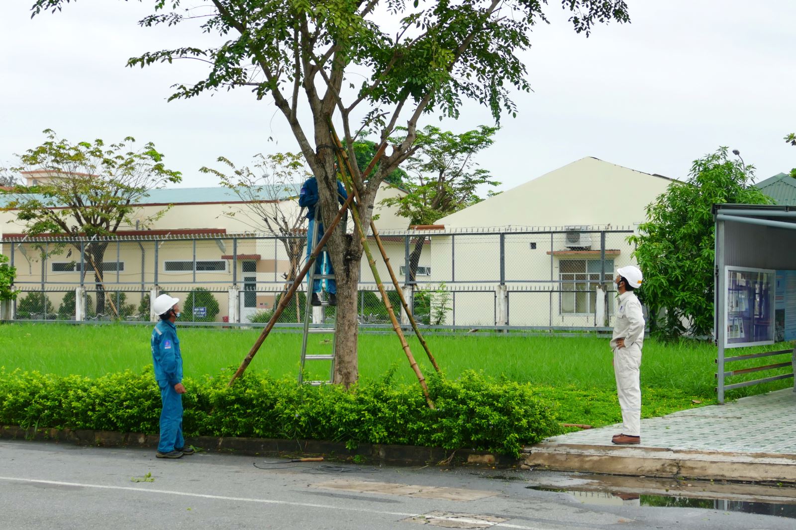 BSR ứng phó với siêu bão Noru