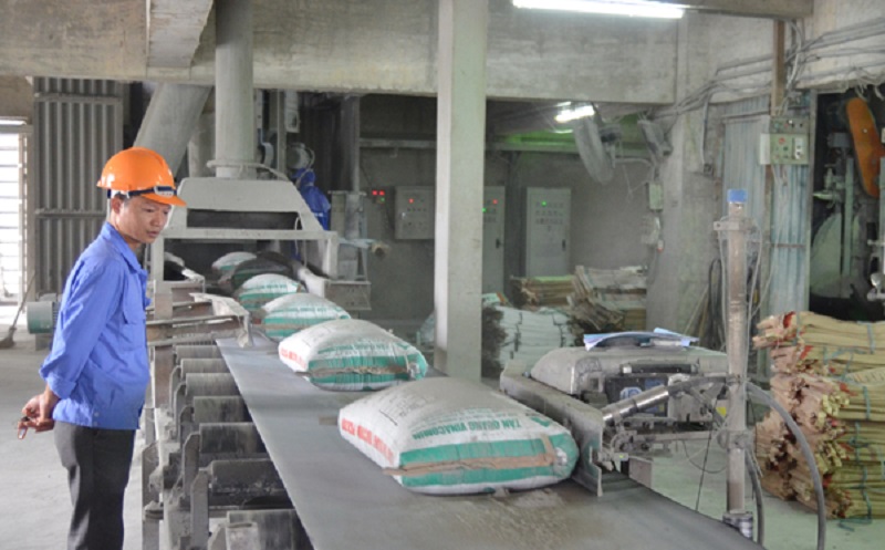 Xi măng Tân Quang: Sản xuất phải gắn với bảo vệ môi trường