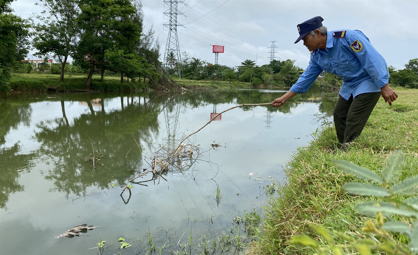 Cá trên sông Bàu Giang chết hàng loạt bốc mùi trong nước đục, nổi bọt
