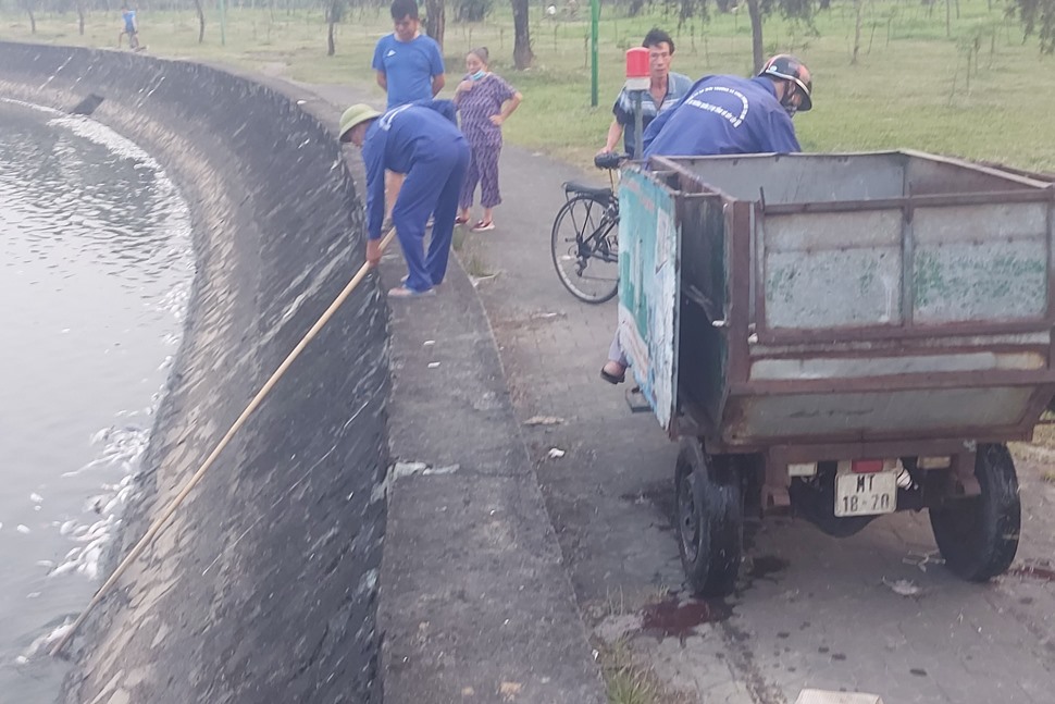 Cá chết trắng hồ công viên ở thành phố Hà Tĩnh