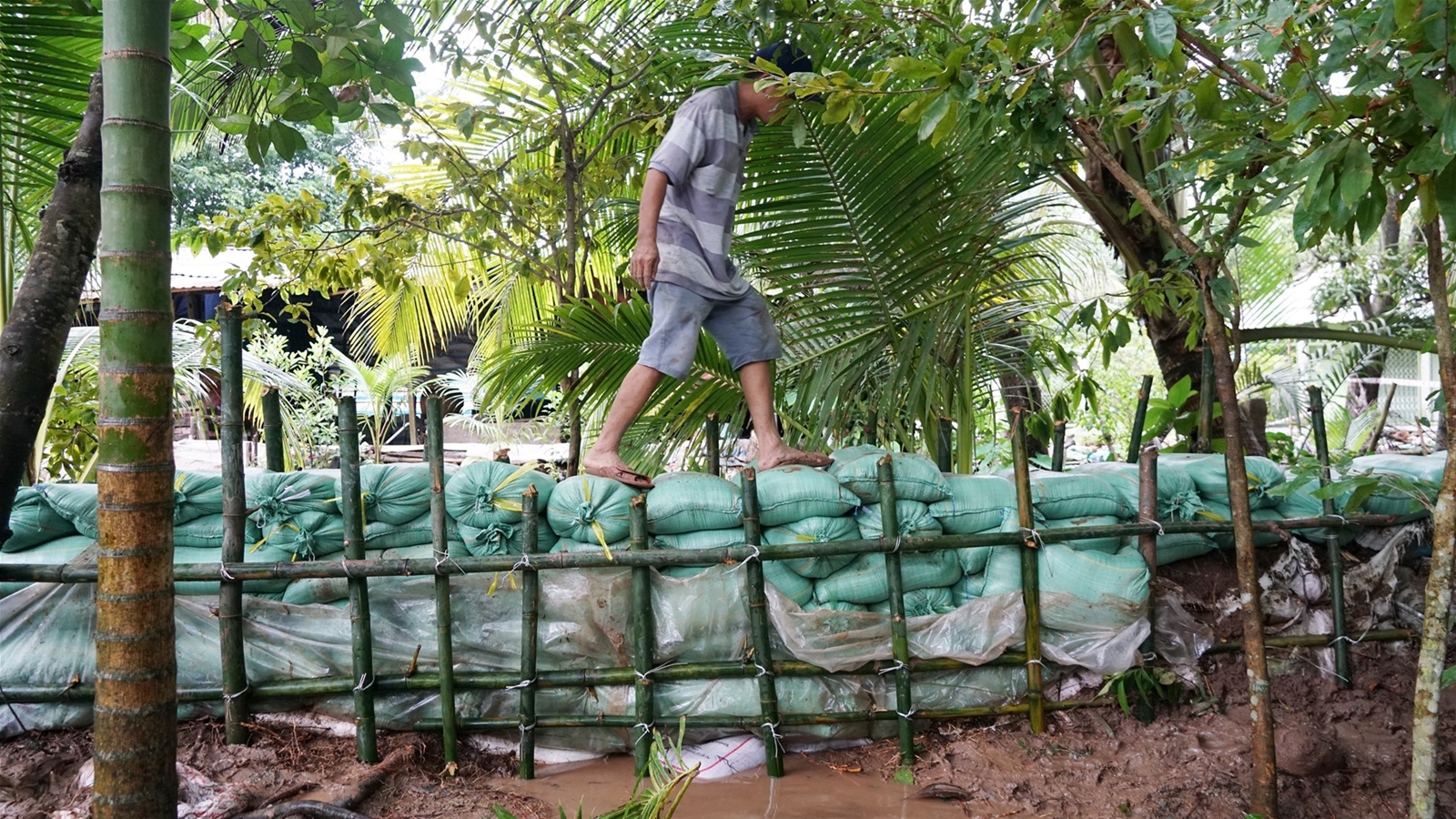 Triều cường dự báo đạt đỉnh, Cần Thơ họp khẩn tìm cách ứng phó