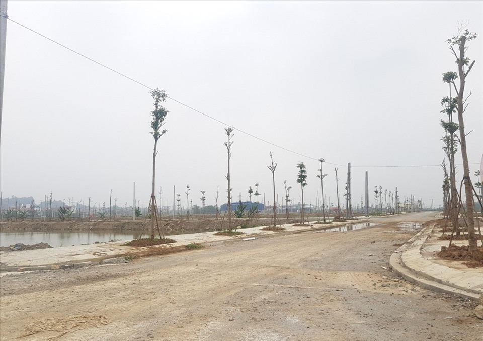 Ninh Bình: Nhiều khu đất đấu giá xong không có người ở