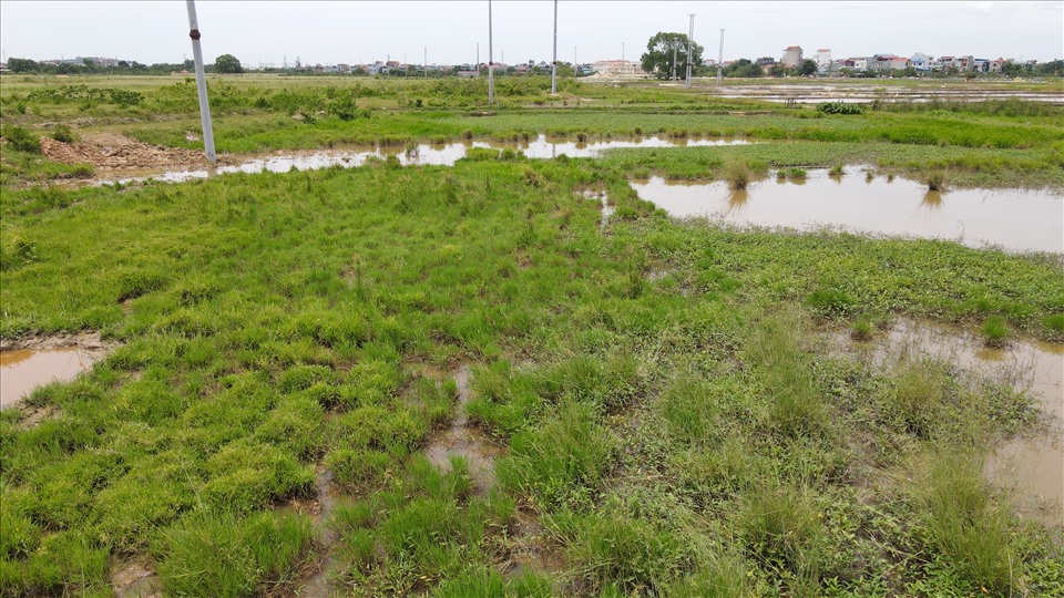 Hà Nội: Kiến nghị thu hồi 29 dự án với tổng diện tích hơn 1.800 ha đất