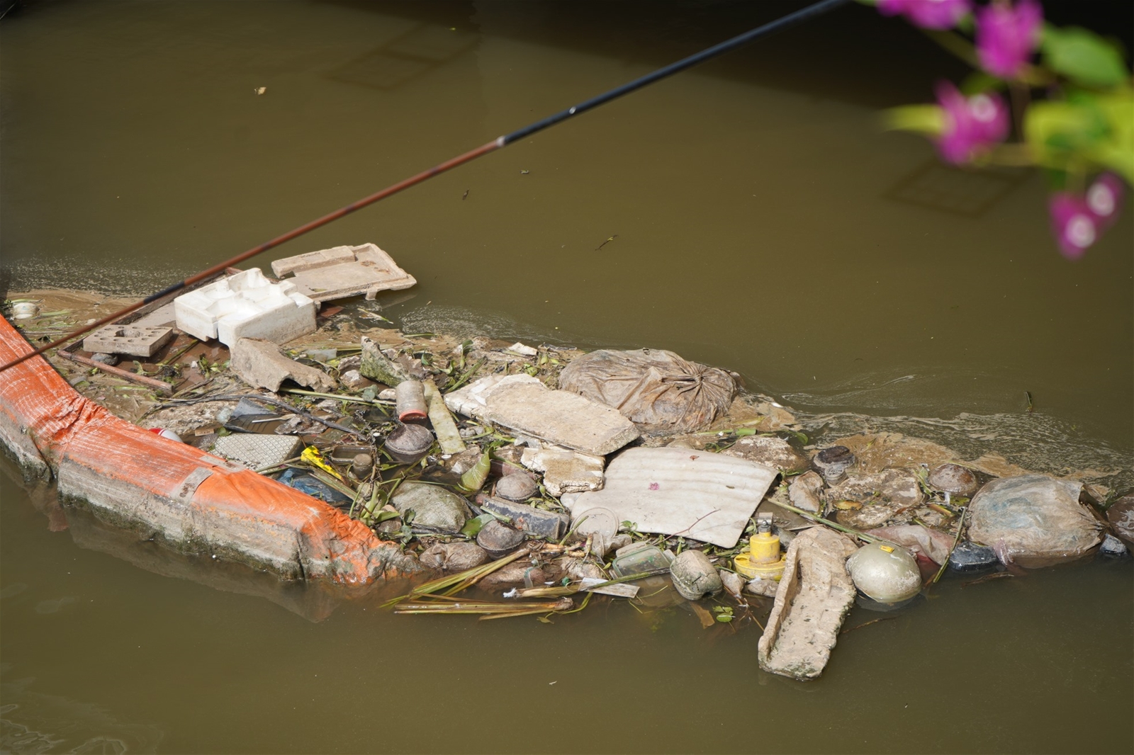 Nước sông ô nhiễm, gần 200 con thiên nga ở sông Tam Bạc chết dần, chết mòn