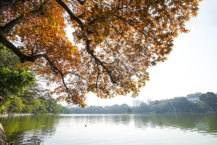 Thời tiết ngày 2/5: Bắc Bộ, Bắc Trung Bộ ngày nắng, chiều tối có mưa dông