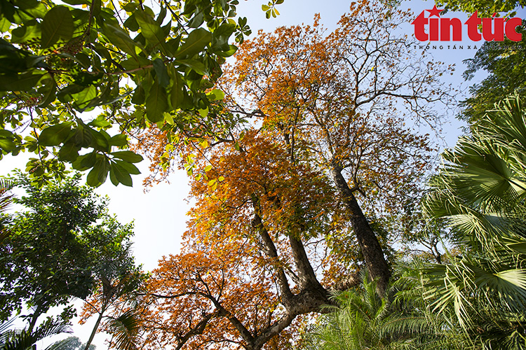 Thời tiết ngày 20/2: Bắc Bộ ngày nắng, Nam Bộ có mưa vào chiều tối