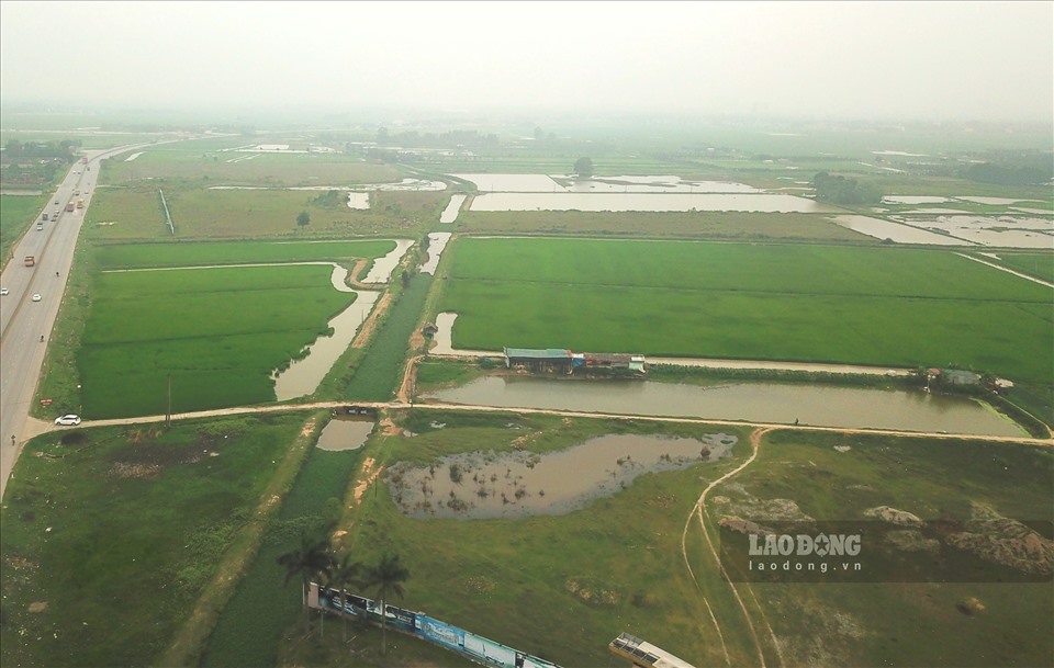 Thanh Hóa: Dự án khu công nghiệp FLC gần 300 ha trở thành bãi chăn trâu