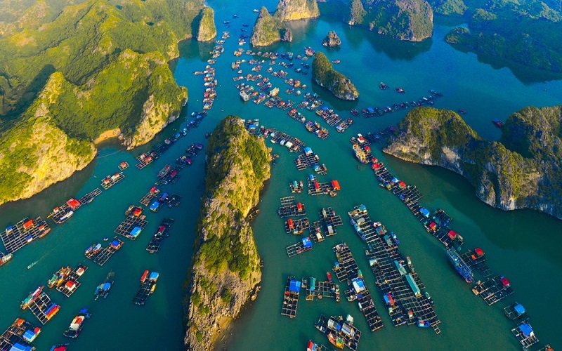 Đề xuất mô hình quản lý tổng hợp vùng bờ hiệu quả cho đảo Cát Bà thành phố Hải Phòng