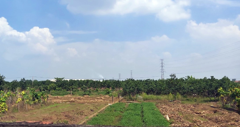 Habeco gây ô nhiễm không khí