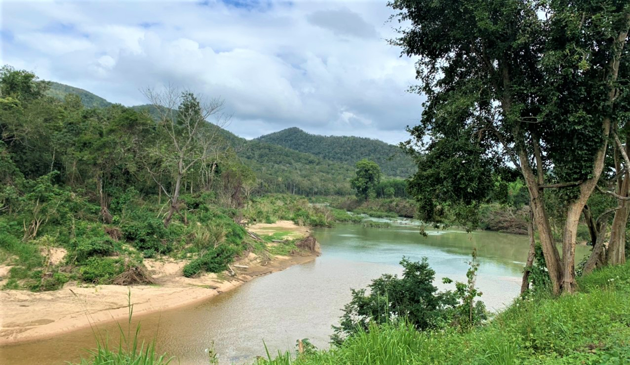 Nỗ lực giữ “lá phổi” xanh cho Tây Nguyên