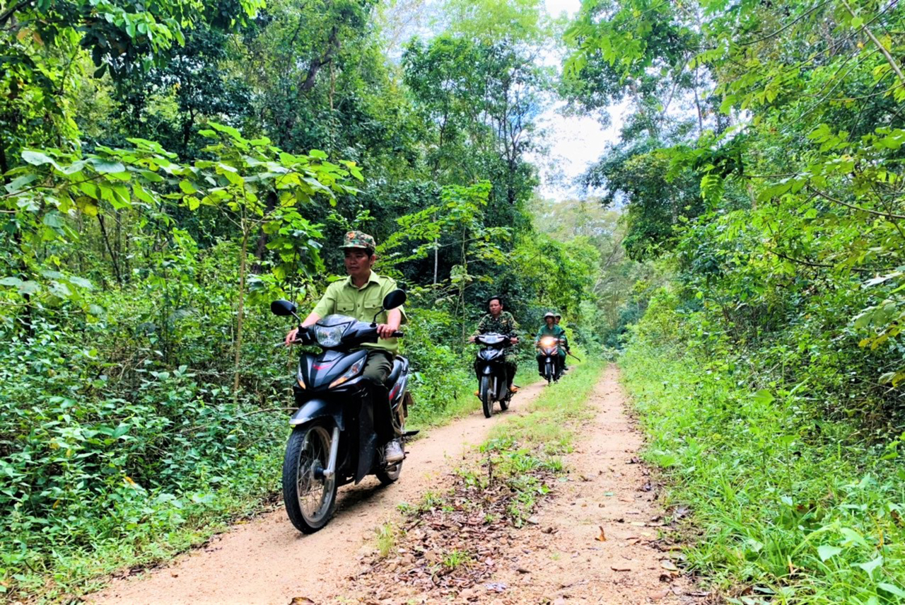Nỗ lực giữ “lá phổi” xanh cho Tây Nguyên