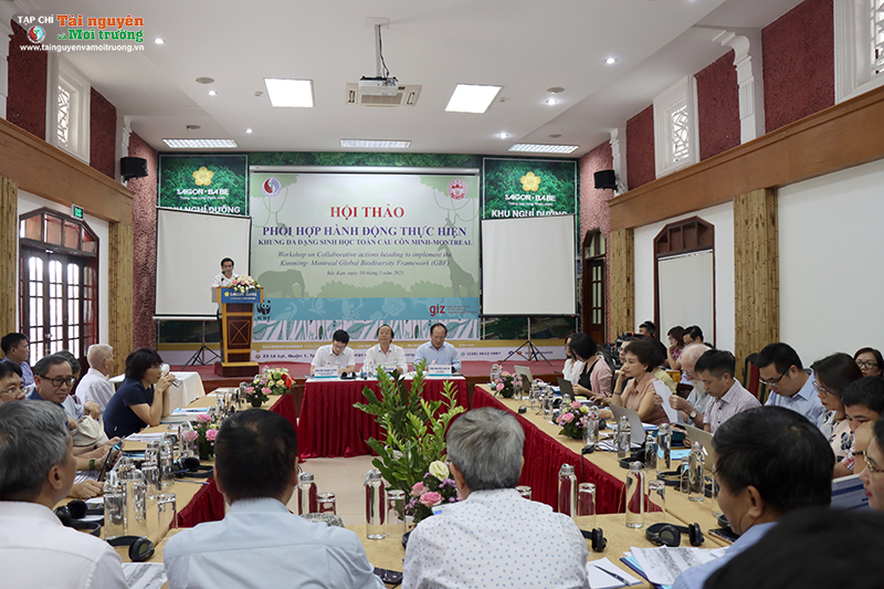 Bộ ảnh Phó Thủ tướng Chính phủ Nguyễn Văn Thành, Bộ trưởng Bộ TN&MT Trần Hồng Hà cùng lãnh đạo Bộ thăm Triển lãm lịch sử hình thành, phát triển và đổi mới ngành TN&MT trong xu thế chuyển đổi số phục v