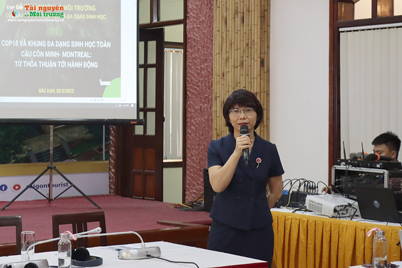 Bộ ảnh Phó Thủ tướng Chính phủ Nguyễn Văn Thành, Bộ trưởng Bộ TN&MT Trần Hồng Hà cùng lãnh đạo Bộ thăm Triển lãm lịch sử hình thành, phát triển và đổi mới ngành TN&MT trong xu thế chuyển đổi số phục v