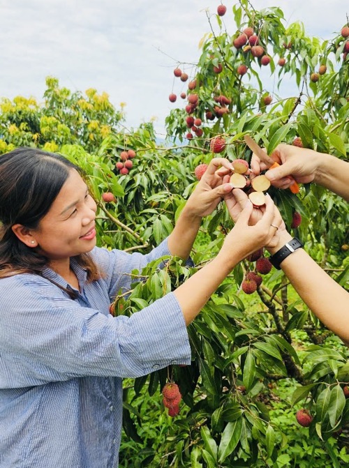 Kể chuyện nông sản xứ Thanh